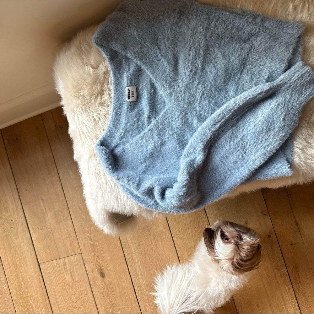 Aritzia Blue Fuzzy Sweater - Picture 7 of 8
